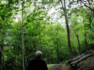Walking the Land near Stroud